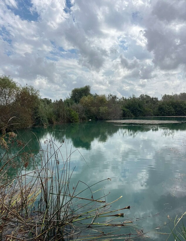 טבע מים עין אפק טבע מים עין אפק
