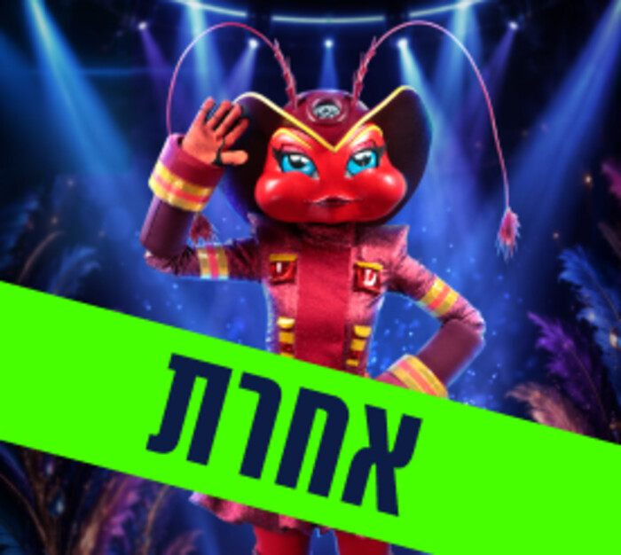 פוסטר הזמר במסכה