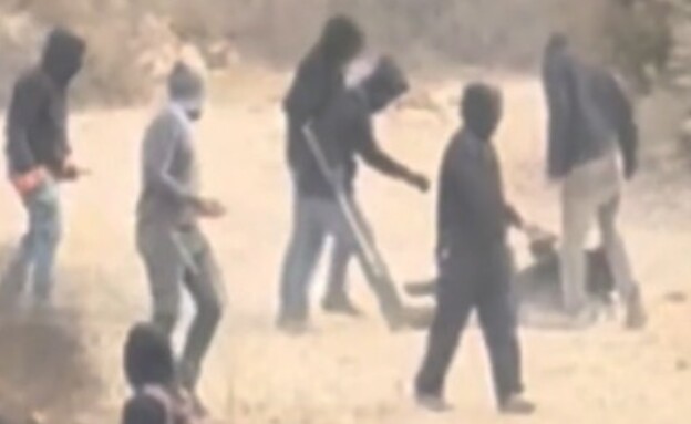 צלמת הוושינגטון פוסט הותקפה בידי פורעים יהודים צלמת הוושינגטון פוסט הותקפה בידי פורעים יהודים