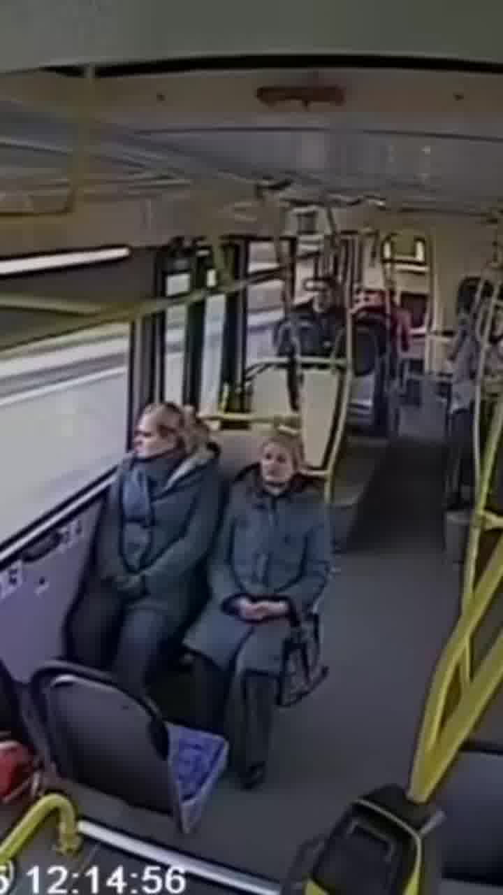 "לא צריך חגורות בטיחות. גם ככה לא נוסעים כל כך מהר"