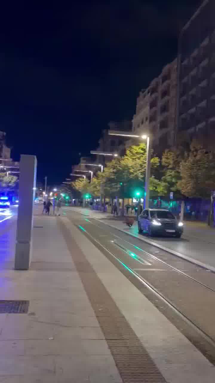 חזיר בר תועד במרכז סרגוסה שבספרד