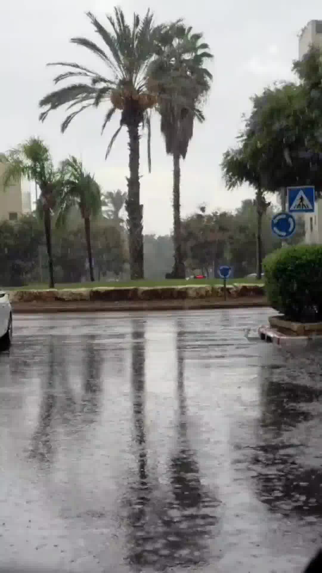 תל אביב תחת מבול: הגשם מציף את הכבישים והמים זורמים ברחובות העיר