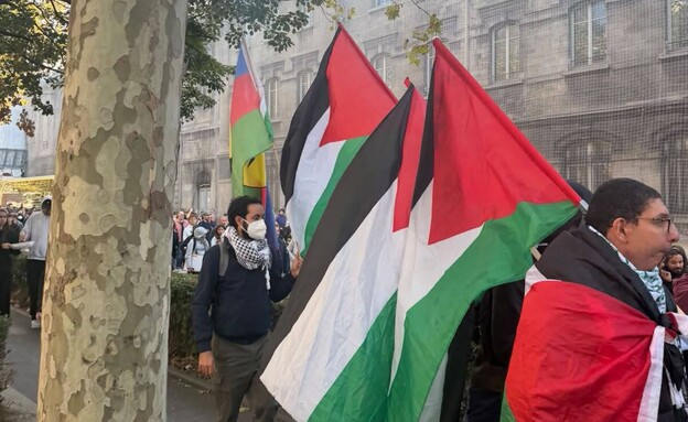 מחאות פרו פלסטיניות בצרפת מחאות פרו פלסטיניות בצרפת