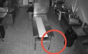 מבשלת הבירה "ניוברג" (צילום: מתוך הרשתות החברתיות בהתאם לסעיף 27א' בחוק)