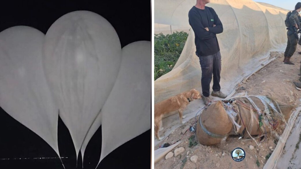 בלונים, החשיש שנתפס בלונים, החשיש שנתפס
