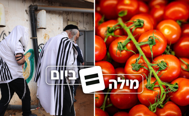 מה הקשר בין טלית לעגבניות שרי?