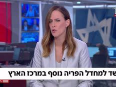 20yulan_vtr2_n20261021_v1 (צילום: חדשות)