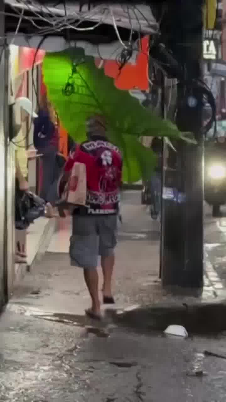 לא צריך מטרייה: גבר מברזיל מסתתר מהגשם מתחת לעלה ענק