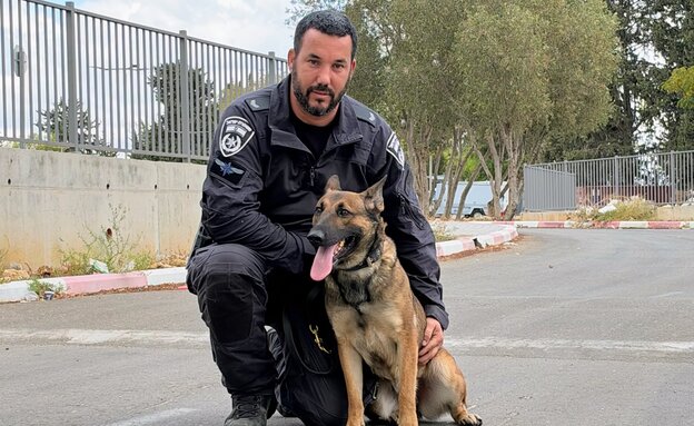הכלבן שלומי עטיה והכלבה ננסי הכלבן שלומי עטיה והכלבה ננסי
