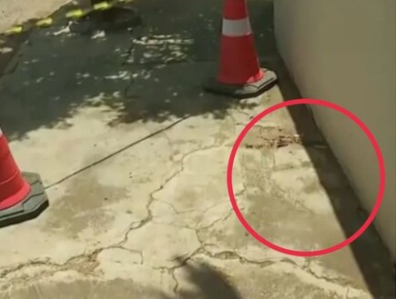 ראו את "פניו של ישוע" במדרכה – והחלו להתפלל במקום