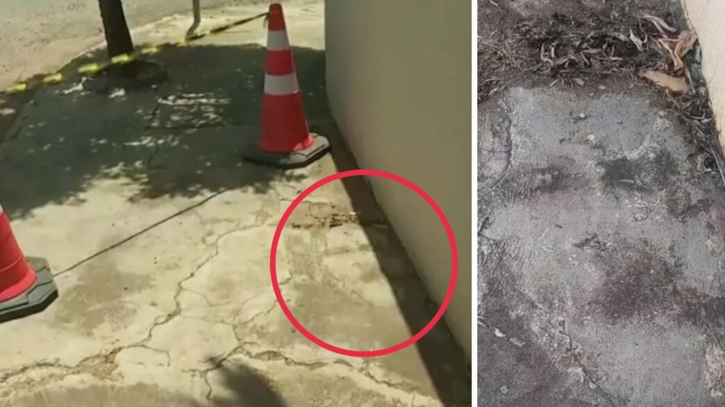 פנים מוכרות במדרכה פנים מוכרות במדרכה