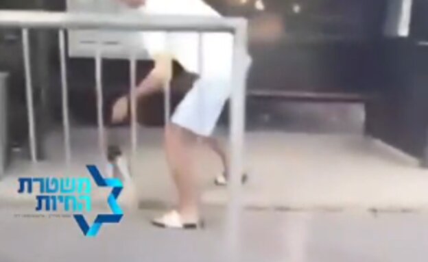 צעיר נעצר בחשד להתעללות בחתול (צילום: ללא, משטרת ישראל)
