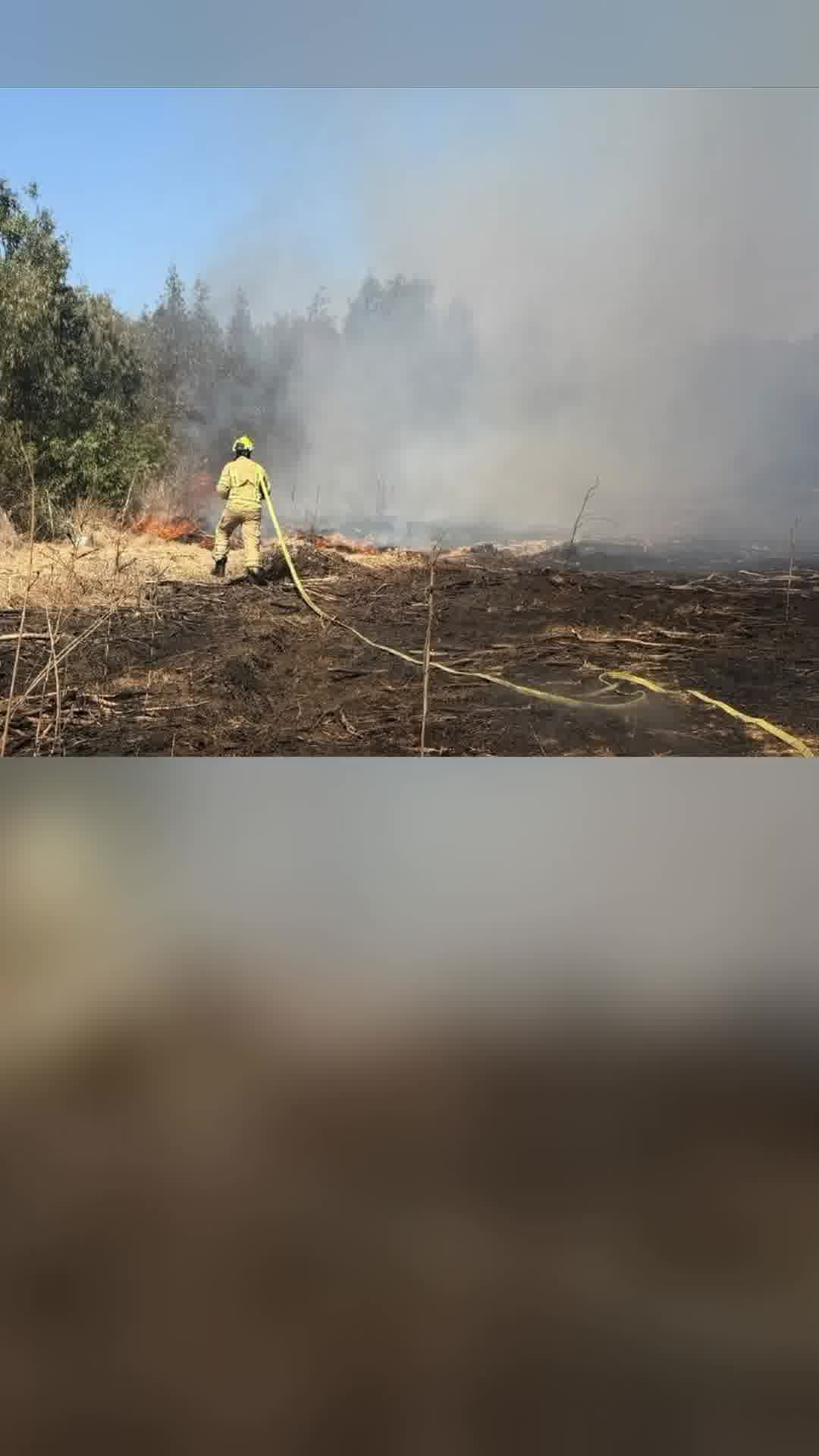 שרפת קוצים פרצה בחורשת עצי אקליפטוס סמוך לצומת חדרה. כוחות הכיבוי פועלים לבלימת התפשטות האש