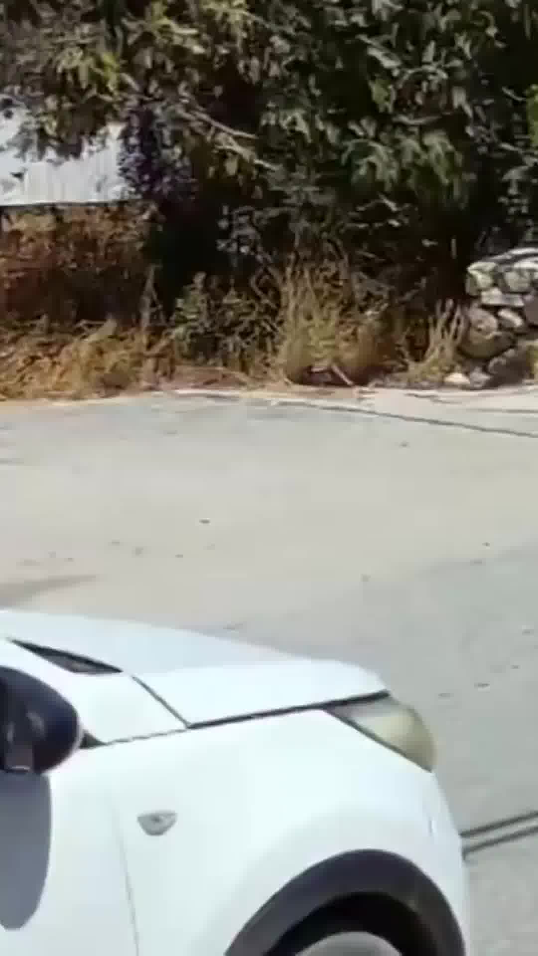 יוצא מהרכב - ויורה בנשק ארוך באמצע הרחוב: תושב בית אולא בן 26 נעצר 