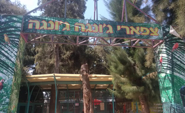 הצפארי ג'ונגה ג'ונגה תל אביב הצפארי ג'ונגה ג'ונגה תל אביב