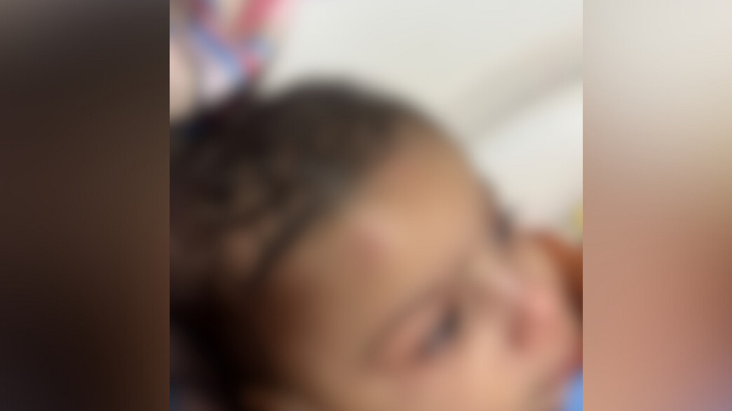 התעללות בגן ילדים באריאל התעללות בגן ילדים באריאל