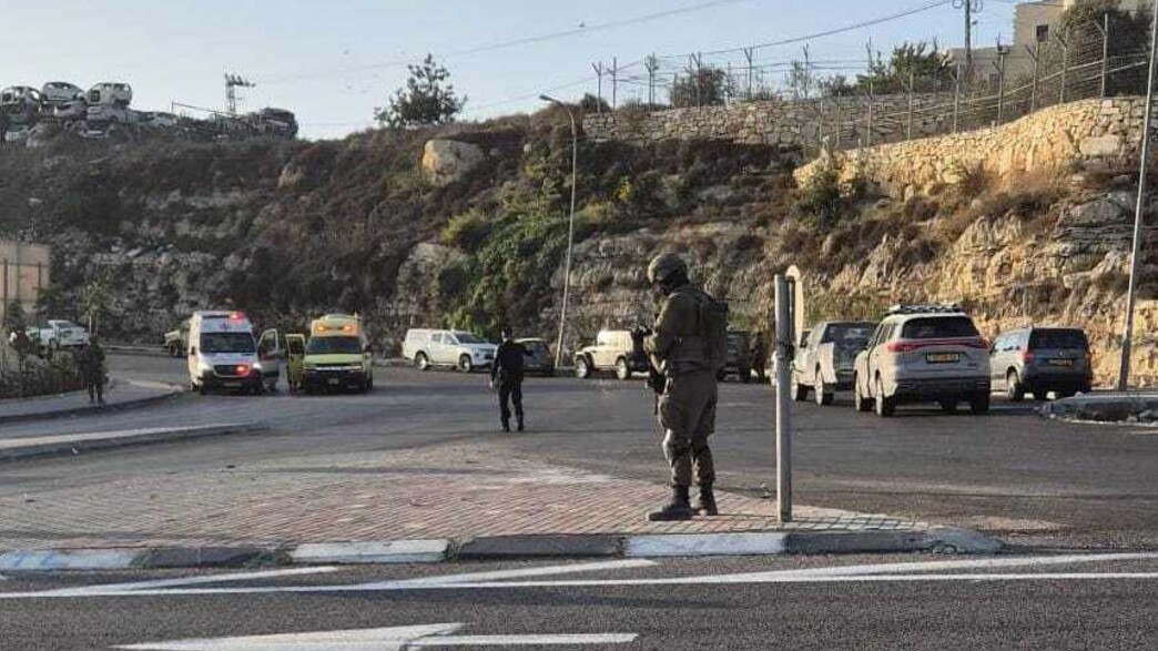 כוחות צה"ל בזירה