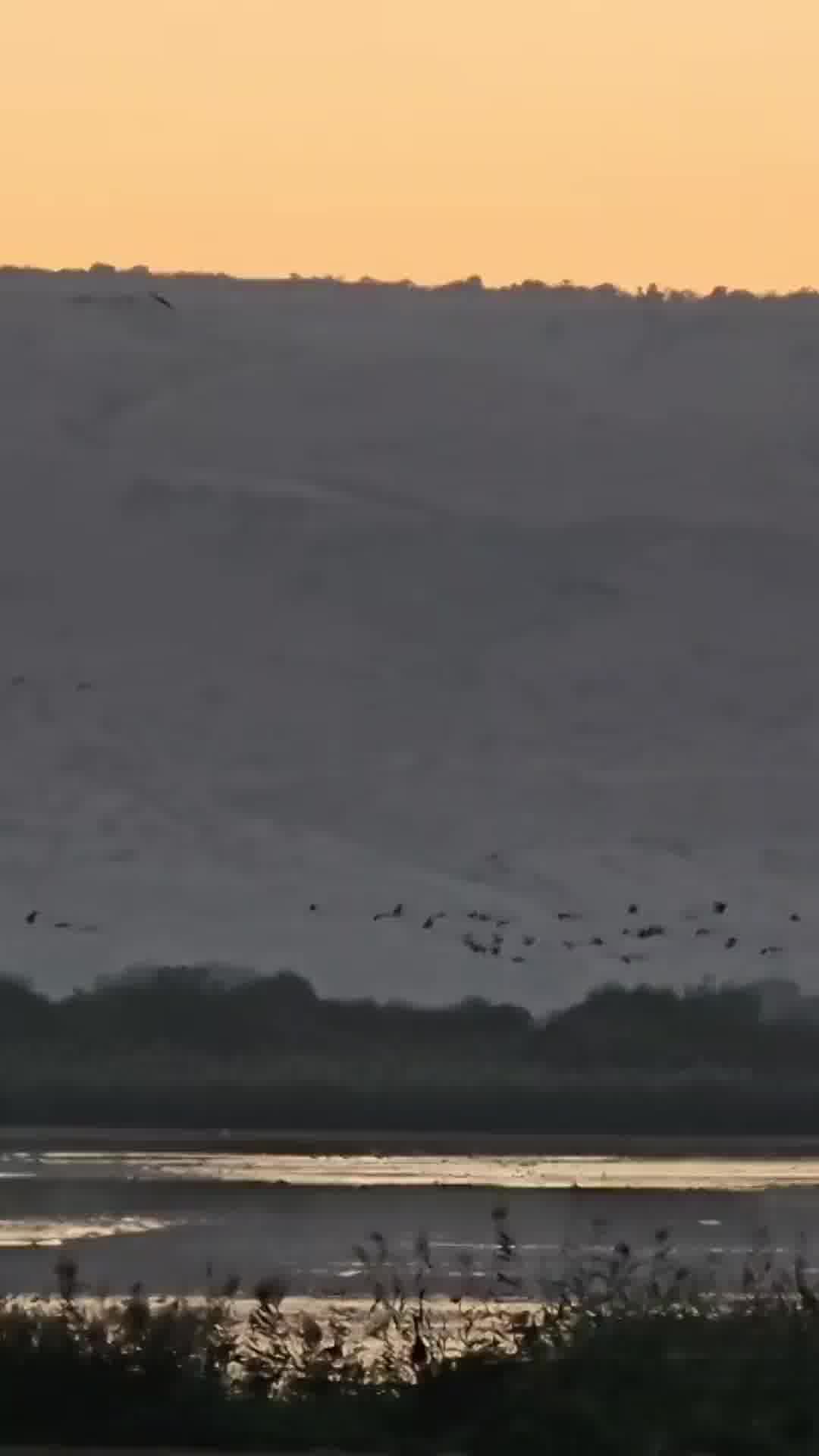 עומס מבקרים באגמון החולה. בקק"ל מבקשים לא להגיע בשעתיים הקרובות
