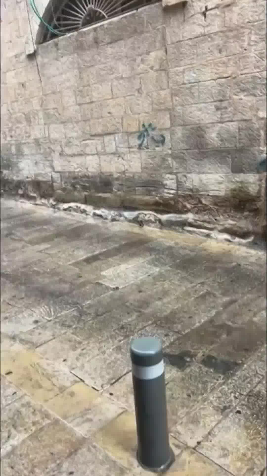 גשם וברד בירושלים | צפו