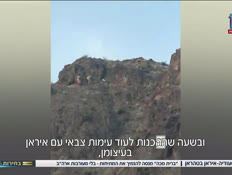 20saudiairan_vtr2_n20261026_v1 (צילום: חדשות)