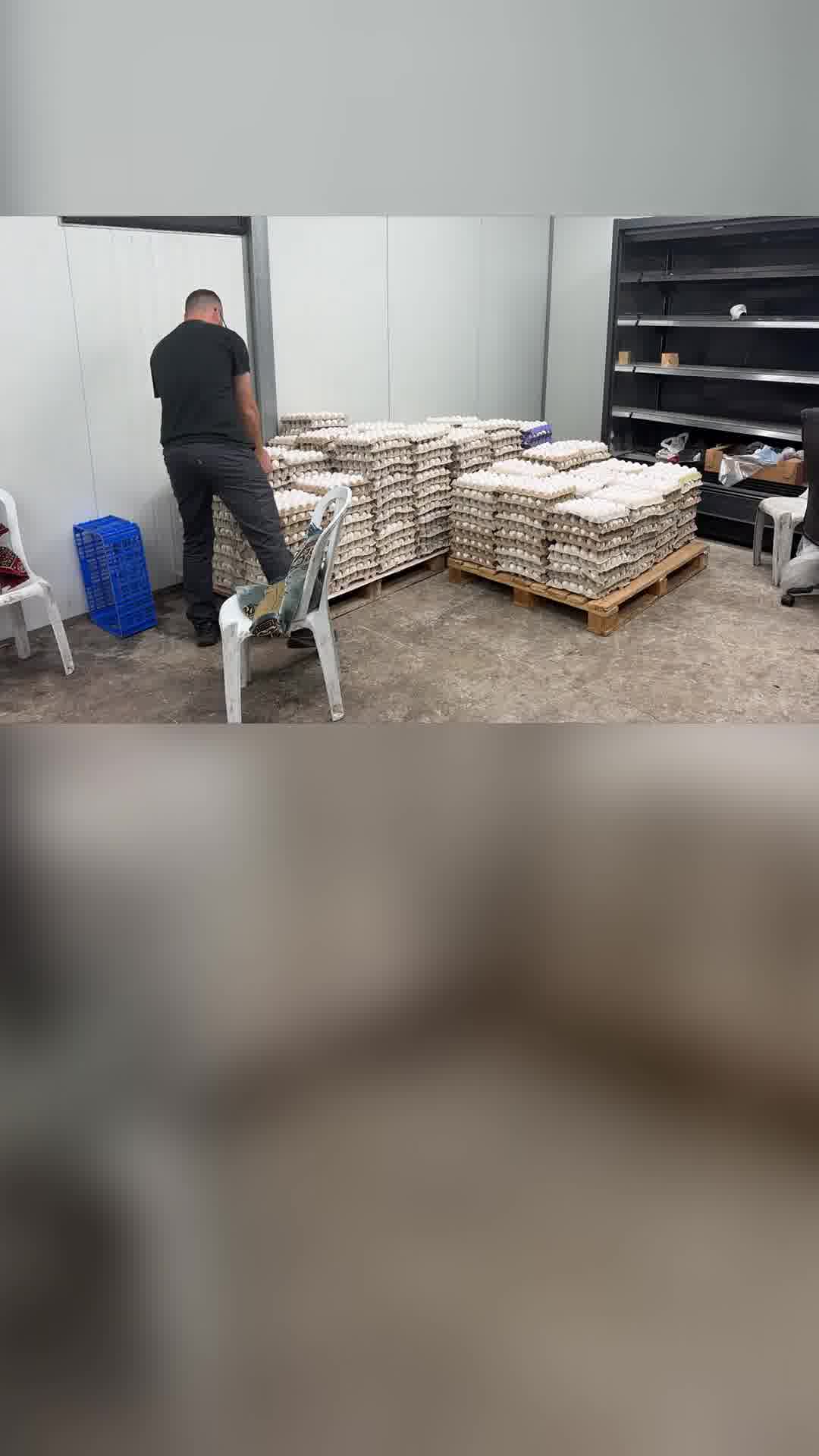 ירושלים: כ-100 אלף ביצים מזויפות שמקורן ברשות הפלסטינית נתפסו במשאית ובבית עסק