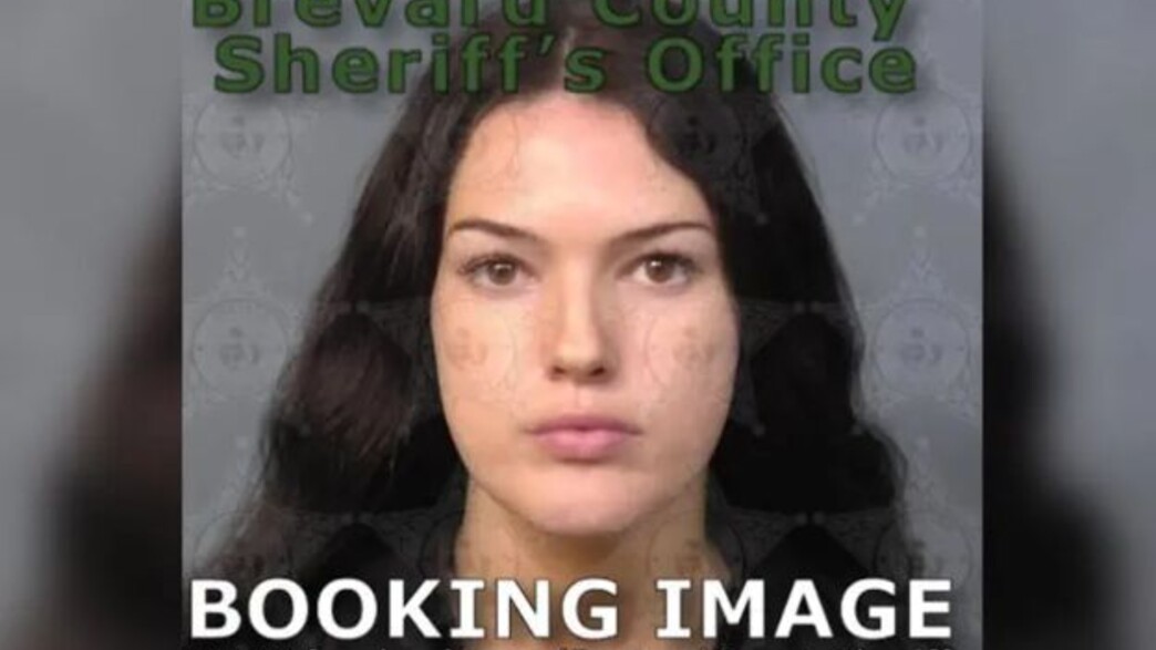 קתרין קלי קתרין קלי
