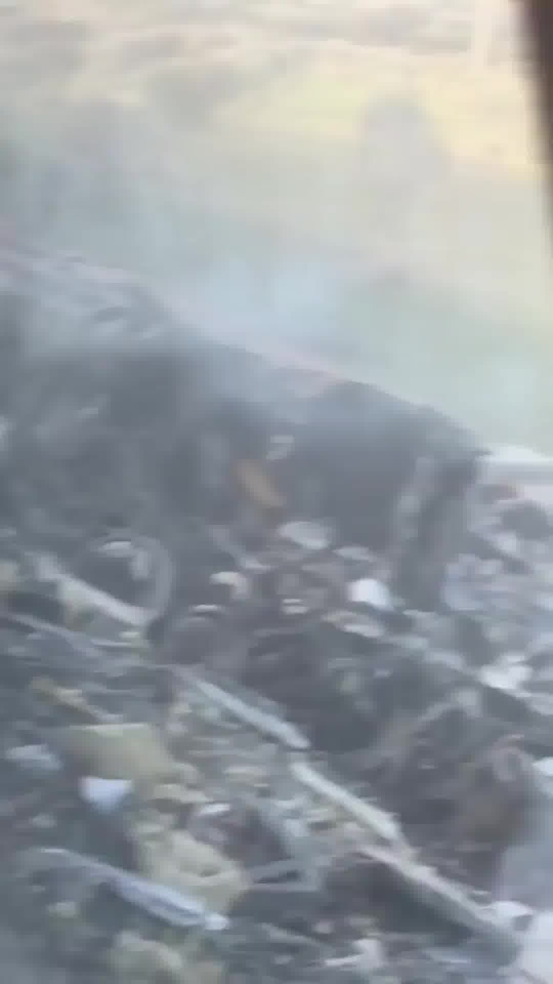 עשרות הרוגים בתאונת רכבות בספרד במחוז טולדו