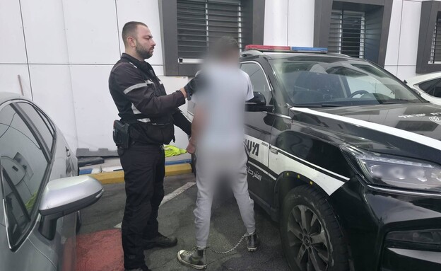 גבר נעצר בחשד שבעט בראשו של כלבו