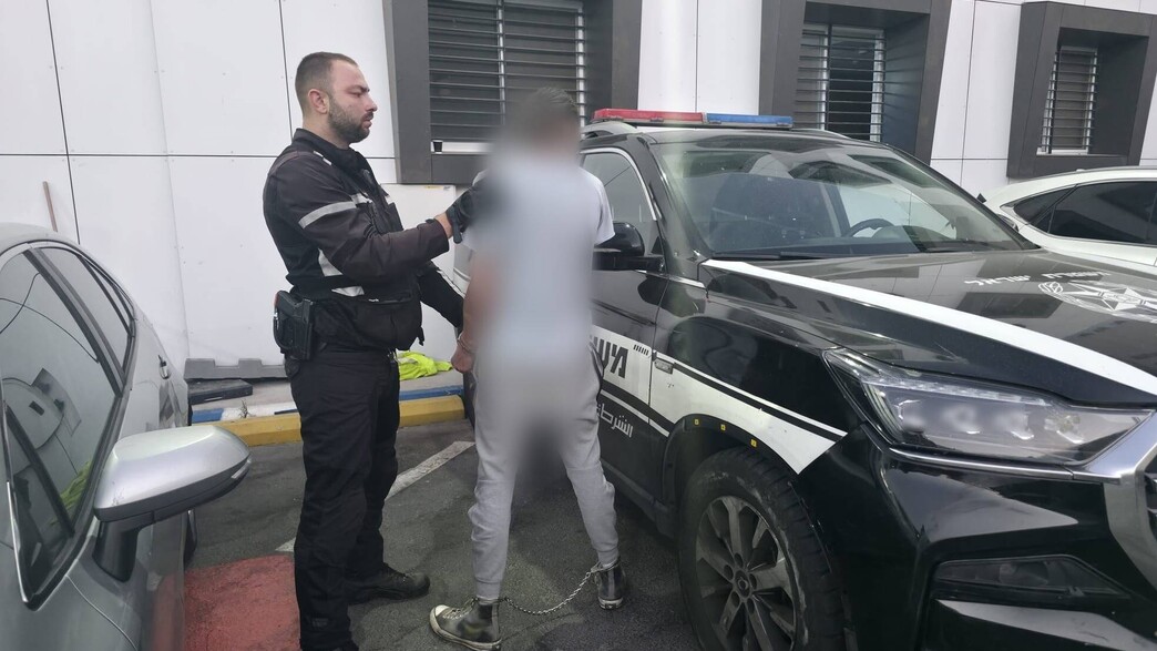 גבר נעצר בחשד שבעט בראשו של כלבו גבר נעצר בחשד שבעט בראשו של כלבו