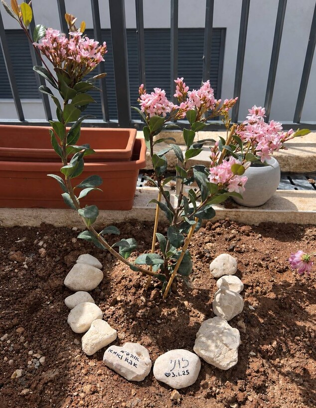 פינה לזכר אלונה פינה לזכר אלונה