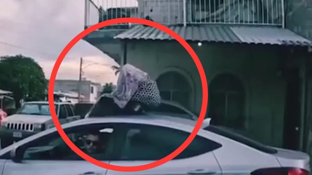 תינוק במנשא על גג מכונית תינוק במנשא על גג מכונית